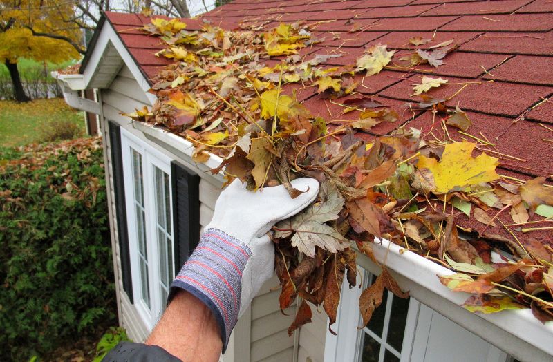 Winter Gutter Prep